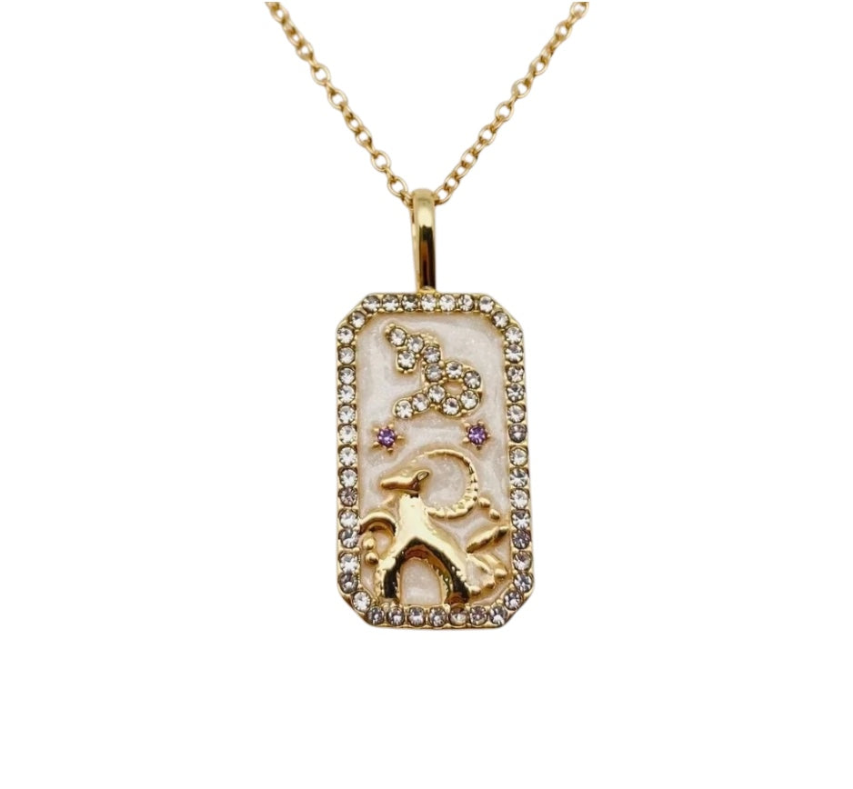 Capricorn Astrological Zodiac Necklace