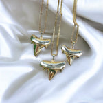 Full Gold Shark Tooth Necklace